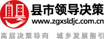 县市领导决策