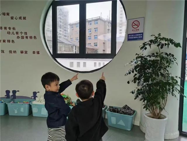 09521145537437716_33.jpeg